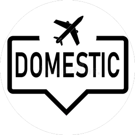 Domestic Air Ticket